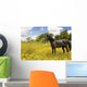 Horse Pasture Wildflowers Wall Decal