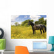 Horse Pasture Wildflowers Wall Decal