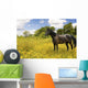 Horse Pasture Wildflowers Wall Decal