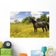 Horse Pasture Wildflowers Wall Decal