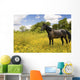 Horse Pasture Wildflowers Wall Decal