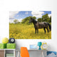 Horse Pasture Wildflowers Wall Decal