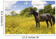 Horse Pasture Wildflowers Wall Decal