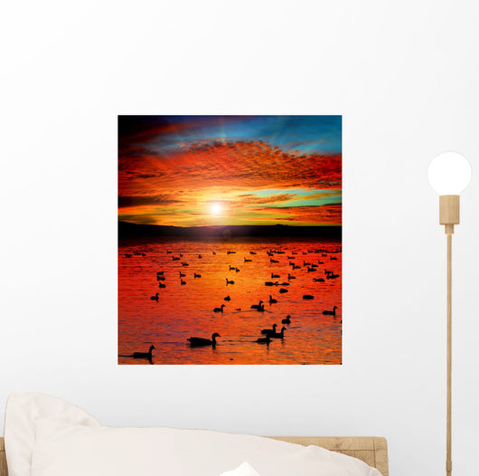 Sunset Lake with water birds. Ducks geese and coots Wall Mural