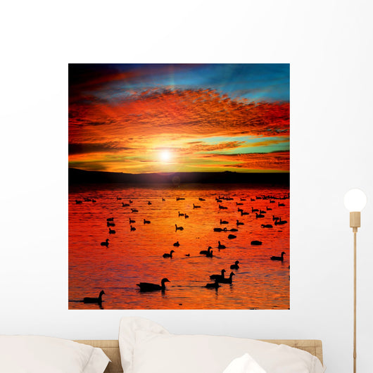 Sunset Lake with water birds. Ducks geese and coots Wall Mural