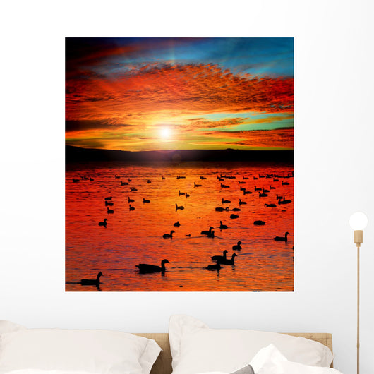 Sunset Lake with water birds. Ducks geese and coots Wall Mural