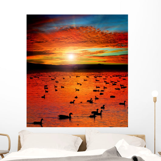 Sunset Lake with water birds. Ducks geese and coots Wall Mural