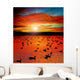 Sunset Lake with water birds. Ducks geese and coots Wall Mural