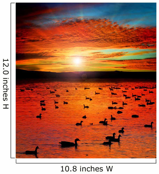 Sunset Lake with water birds. Ducks geese and coots Wall Mural
