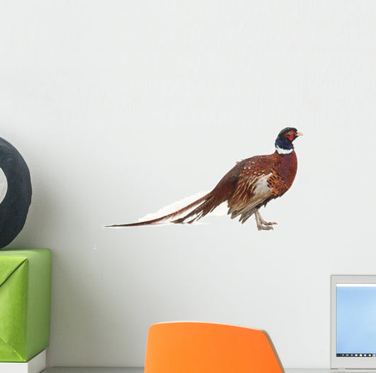 Pheasant Wall Decal