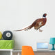 Pheasant Wall Decal
