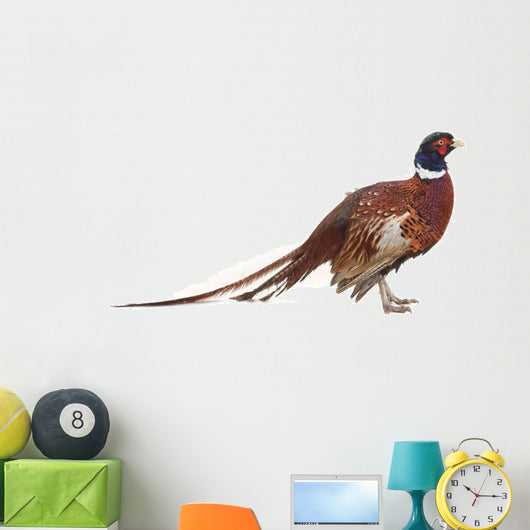 Pheasant Wall Decal