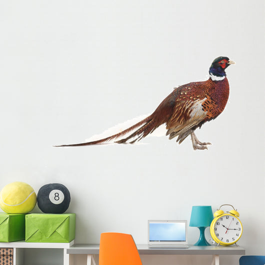 Pheasant Wall Decal