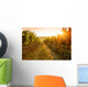 Sunrise over a vineyard Wall Mural