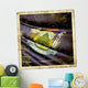Flag Maine Usa Wall Decal