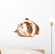Guinea Pig Wall Decal