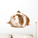 Guinea Pig Wall Decal