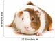 Guinea Pig Wall Decal