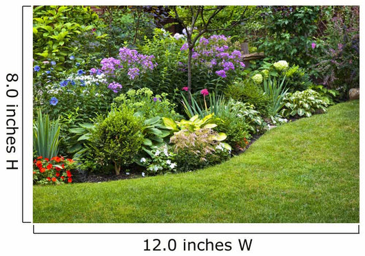 Garden and Flowers