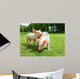 Two Piglets Meadow Wall Mural