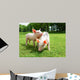 Two Piglets Meadow Wall Mural