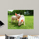 Two Piglets Meadow Wall Mural