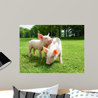 Two Piglets Meadow shown on a wall