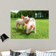 Two Piglets Meadow Wall Mural