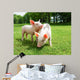 Two Piglets Meadow Wall Mural