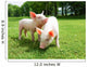 Two Piglets Meadow Wall Mural