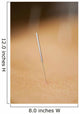 acupuncture Wall Mural