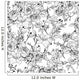 Seamless Monochrome Floral Wall Decal
