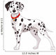 Cute Dalmatian Dog Wall Decal