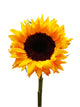 sunflower Wall Decal
