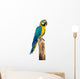 Macaw Bird White
