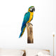 Macaw Bird White