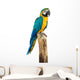 Macaw Bird White