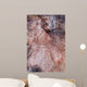 Wood Texture Cutted Tree