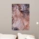 Wood Texture Cutted Tree