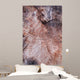 Wood Texture Cutted Tree