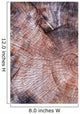 Wood Texture Cutted Tree
