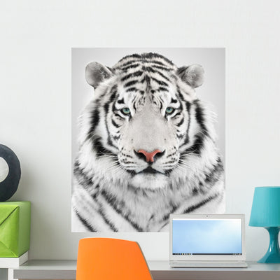 White Tiger shown on a wall