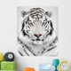 White Tiger