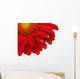 Gerbera Daisy Wall Decal