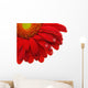 Gerbera Daisy Wall Decal