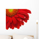 Gerbera Daisy Wall Decal