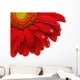 Gerbera Daisy Wall Decal
