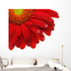 Gerbera Daisy Wall Decal