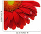 Gerbera Daisy Wall Decal