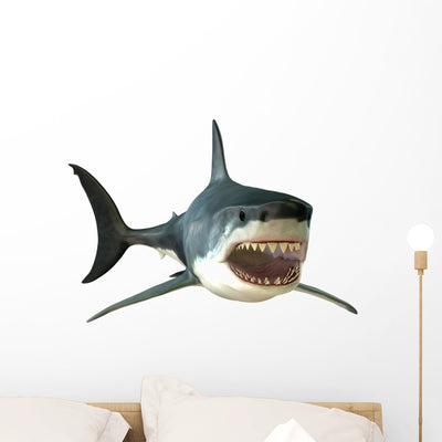 Great White Shark Mouth shown on a wall
